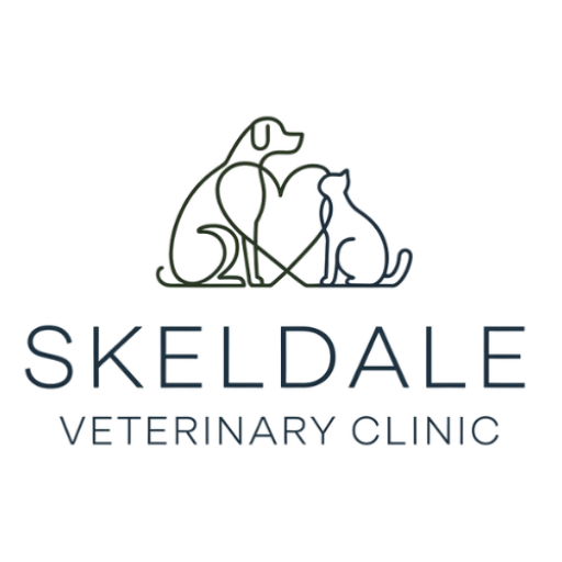 Skeldale Veterinary Clinic - Ballinrobe, Belmullet, Co. Mayo, west ireland