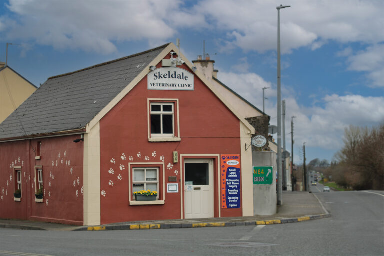Skeldale Veterinary Clinic - County Mayo